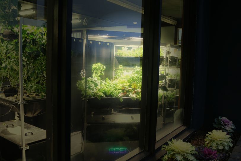 Eden Grow Tower in use