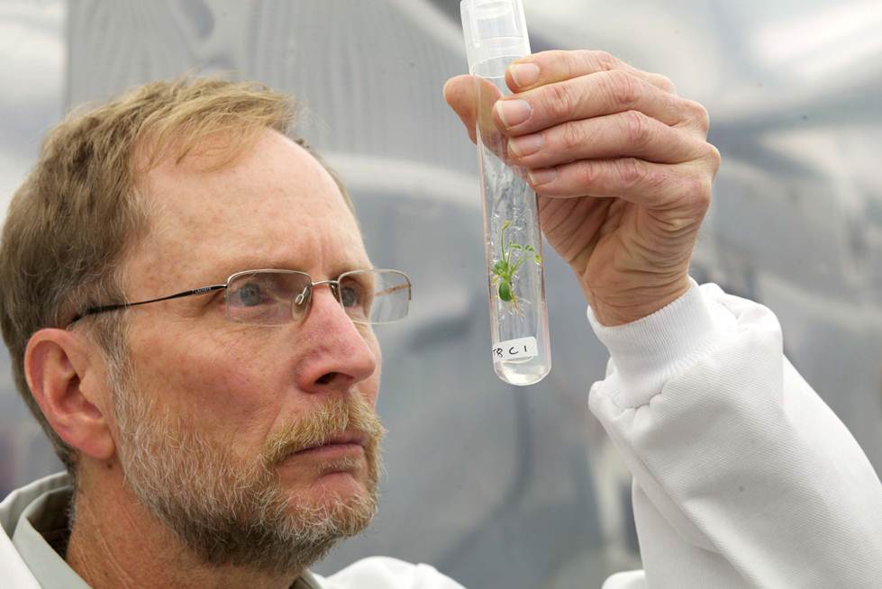 NANA researcher studying seeds cultivated in aeroponics system.
