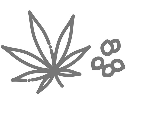 Icon of cannabis leaf next to seeds.