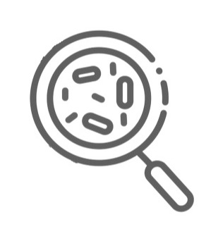 Icon of magnifying glass studying seeds.