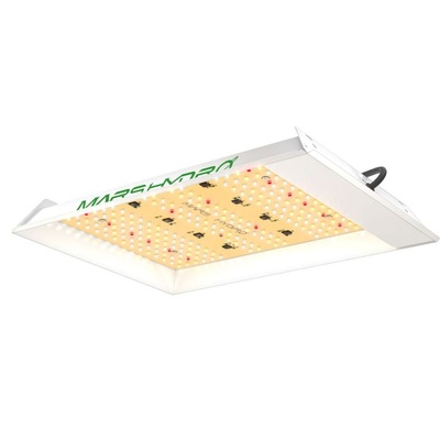 Grow Light, 600W